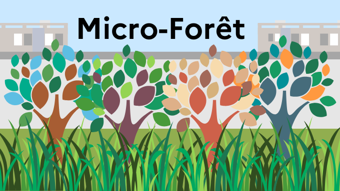 Micro forêt.png