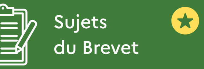 Sujets du brevet.png