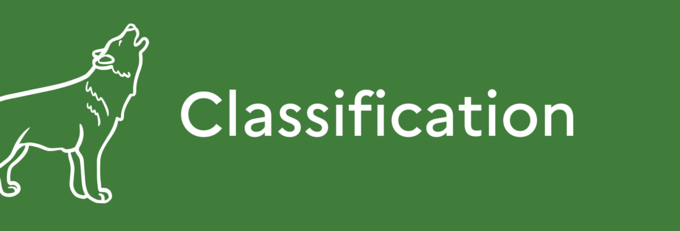 Classification.png
