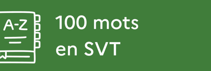 100 mots en SVT.png